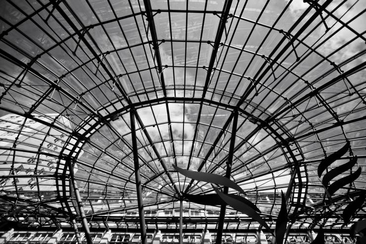 Blick durch ein Glasdach mit Gestänge