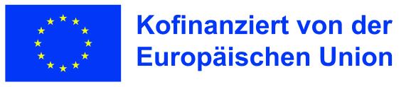 Es ist die blaue EU Flagge mit einem Kreis aus gelben Sternen zu sehen. Zu lesen ist der Schriftzug Kofinanziert von der Europäischen Union.